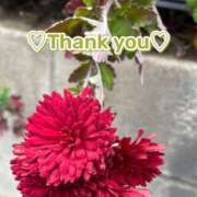 ヒメ日記 2025/12/22 17:05 投稿 このは モアグループ川越人妻花壇