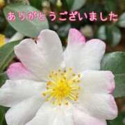 ヒメ日記 2025/12/27 20:19 投稿 このは モアグループ川越人妻花壇