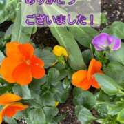 ヒメ日記 2026/01/17 17:05 投稿 このは モアグループ川越人妻花壇