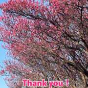 このは 絡みたくない人？ モアグループ川越人妻花壇