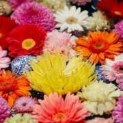 ヒメ日記 2026/01/31 19:59 投稿 このは モアグループ川越人妻花壇