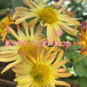 ヒメ日記 2026/02/02 20:07 投稿 このは モアグループ川越人妻花壇