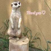 ヒメ日記 2026/02/12 17:38 投稿 このは モアグループ川越人妻花壇