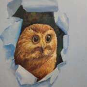 ヒメ日記 2026/03/04 17:00 投稿 このは モアグループ川越人妻花壇