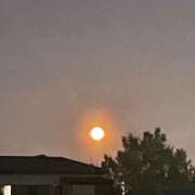 ヒメ日記 2026/04/02 19:47 投稿 このは モアグループ川越人妻花壇