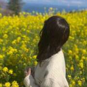 ヒメ日記 2026/04/09 17:50 投稿 このは モアグループ川越人妻花壇