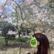 ヒメ日記 2026/04/10 20:16 投稿 このは モアグループ川越人妻花壇