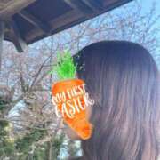 ヒメ日記 2026/04/16 17:15 投稿 このは モアグループ川越人妻花壇