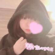 ヒメ日記 2025/12/19 00:51 投稿 いのは 日暮里・西日暮里サンキュー