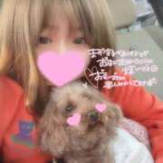 ヒメ日記 2026/03/11 01:33 投稿 いのは 日暮里・西日暮里サンキュー