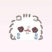 ことね ごめんなさい CECIL