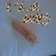 ヒメ日記 2025/05/29 15:46 投稿 みほの 木更津人妻花壇