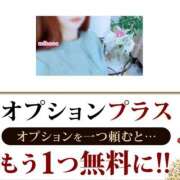 ヒメ日記 2026/02/27 15:37 投稿 みほの 木更津人妻花壇