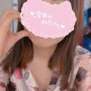 ヒメ日記 2025/04/27 22:04 投稿 あんず いざ候 本館