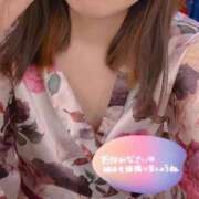 ヒメ日記 2025/04/29 00:31 投稿 あんず いざ候 本館