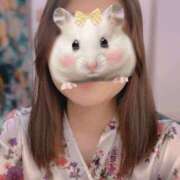 ヒメ日記 2025/05/03 21:16 投稿 あんず いざ候 本館