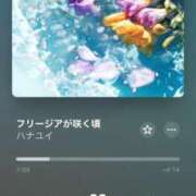 ヒメ日記 2026/02/24 19:37 投稿 あんず いざ候 本館