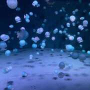 ヒメ日記 2026/03/06 15:07 投稿 あんず いざ候 本館