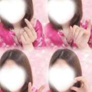 ヒメ日記 2026/03/07 16:07 投稿 あんず いざ候 本館