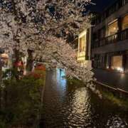 ヒメ日記 2026/04/03 23:57 投稿 あんず いざ候 本館