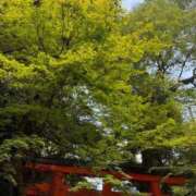 ヒメ日記 2026/09/01 14:57 投稿 あんず いざ候 本館
