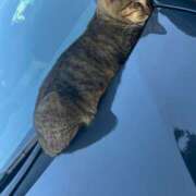 ヒメ日記 2025/06/06 00:33 投稿 レイカ 沖縄素人図鑑