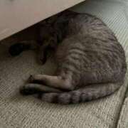 ヒメ日記 2025/06/25 15:03 投稿 レイカ 沖縄素人図鑑