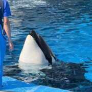 ヒメ日記 2025/09/27 23:30 投稿 美桜(ミオ) グランドオペラ名古屋