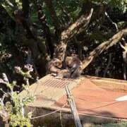 ヒメ日記 2025/10/18 18:06 投稿 美桜(ミオ) グランドオペラ名古屋