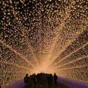 ヒメ日記 2025/10/25 19:29 投稿 美桜(ミオ) グランドオペラ名古屋