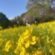 ヒメ日記 2025/05/14 14:57 投稿 いずみ BIKINISPA「真」-ビキニスパ-