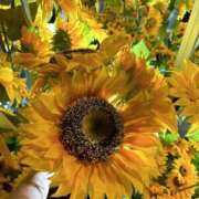 ヒメ日記 2025/08/13 20:45 投稿 いずみ BIKINISPA「真」-ビキニスパ-