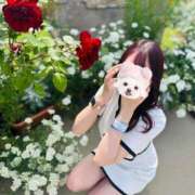 ヒメ日記 2025/06/09 22:56 投稿 にこる ギャルズネットワーク神戸