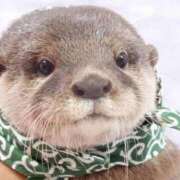 ヒメ日記 2025/08/02 11:58 投稿 りょう チューリップ土浦店