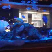 ヒメ日記 2025/11/13 13:59 投稿 りょう チューリップ土浦店