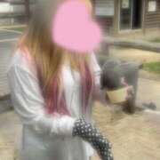 ヒメ日記 2025/06/07 13:58 投稿 しいな 八尾藤井寺羽曳野ちゃんこ