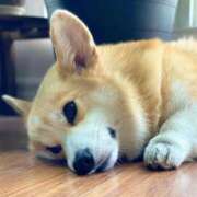 ヒメ日記 2025/08/30 09:06 投稿 れむ あなたの願望即！叶えます～本格的夜這い痴漢専門店～