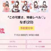 ヒメ日記 2026/02/21 11:15 投稿 なぎ ふわメロ