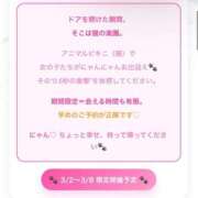 ヒメ日記 2026/02/26 13:01 投稿 なぎ ふわメロ