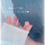 ヒメ日記 2025/04/10 19:36 投稿 せいら　☆甘く淫らな癒し娘☆ PREMIUM～プレミアム～