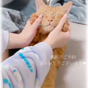 ヒメ日記 2025/04/14 20:46 投稿 せいら　☆甘く淫らな癒し娘☆ PREMIUM～プレミアム～