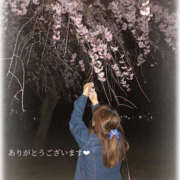 ヒメ日記 2025/05/03 21:36 投稿 せいら　☆甘く淫らな癒し娘☆ PREMIUM～プレミアム～