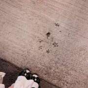 ヒメ日記 2025/05/05 19:36 投稿 せいら　☆甘く淫らな癒し娘☆ PREMIUM～プレミアム～