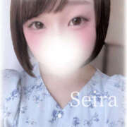 ヒメ日記 2025/05/08 16:06 投稿 せいら　☆甘く淫らな癒し娘☆ PREMIUM～プレミアム～