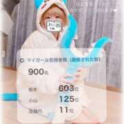 ヒメ日記 2025/05/15 12:06 投稿 せいら　☆甘く淫らな癒し娘☆ PREMIUM～プレミアム～