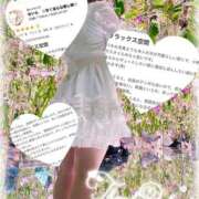 ヒメ日記 2025/05/16 21:46 投稿 せいら　☆甘く淫らな癒し娘☆ PREMIUM～プレミアム～