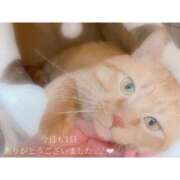 ヒメ日記 2025/05/24 22:36 投稿 せいら　☆甘く淫らな癒し娘☆ PREMIUM～プレミアム～