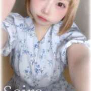 ヒメ日記 2025/05/27 20:46 投稿 せいら　☆甘く淫らな癒し娘☆ PREMIUM～プレミアム～