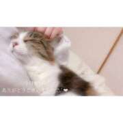 ヒメ日記 2025/05/28 00:06 投稿 せいら　☆甘く淫らな癒し娘☆ PREMIUM～プレミアム～