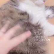 ヒメ日記 2025/05/29 00:06 投稿 せいら　☆甘く淫らな癒し娘☆ PREMIUM～プレミアム～